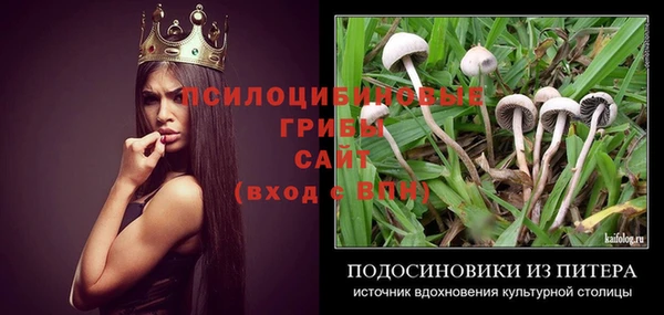 бутират Козельск