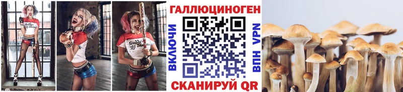 Псилоцибиновые грибы мицелий  купить  сайты  Пятигорск 