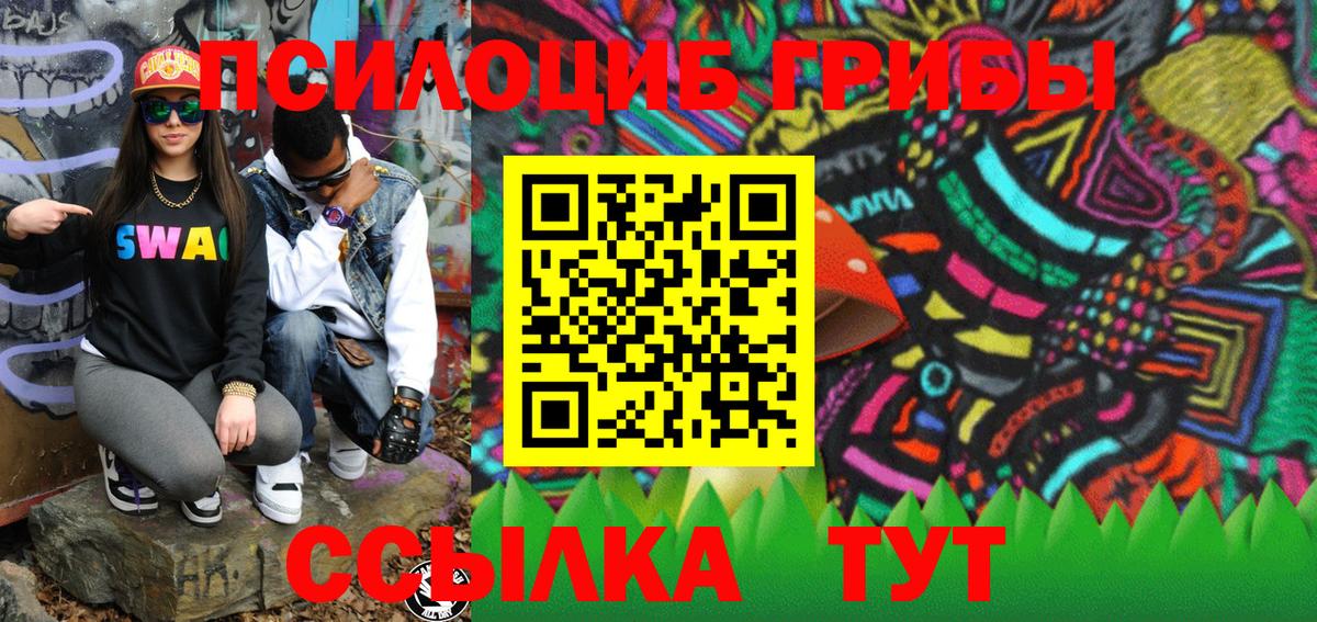 Галлюциногенные грибы Psilocybine cubensis Пятигорск