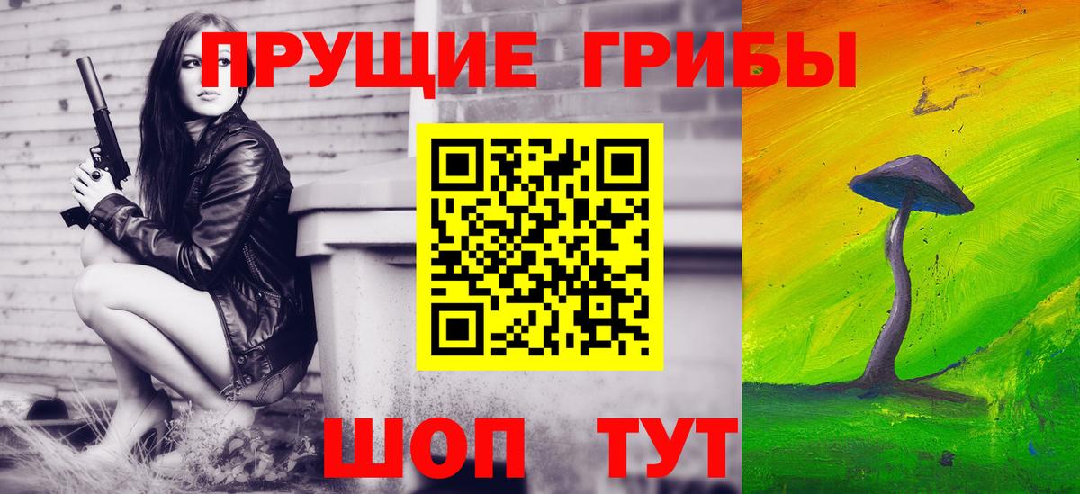 Галлюциногенные грибы GOLDEN TEACHER  Вход с VPN  Пятигорск 